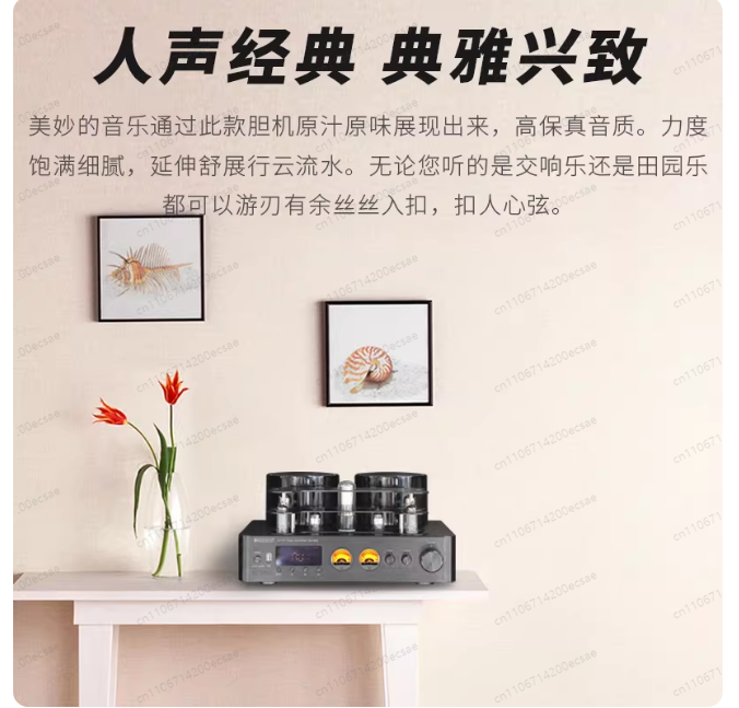 220V 400W * 2 High Fidelity Wi - огляд і ціна Audio Youtube Music Free